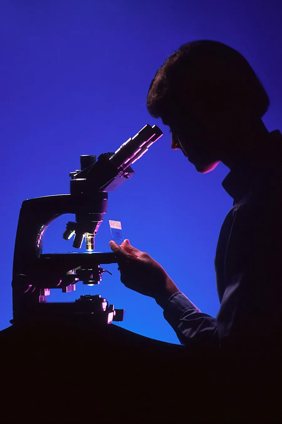 Laboratory